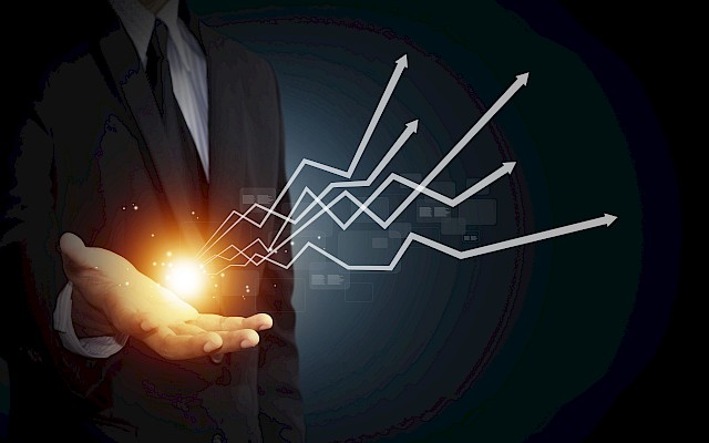 Fee-Based Investment Management