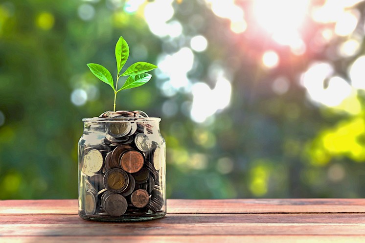 Understanding Annuities